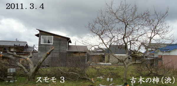 d0122497_1655299.jpg