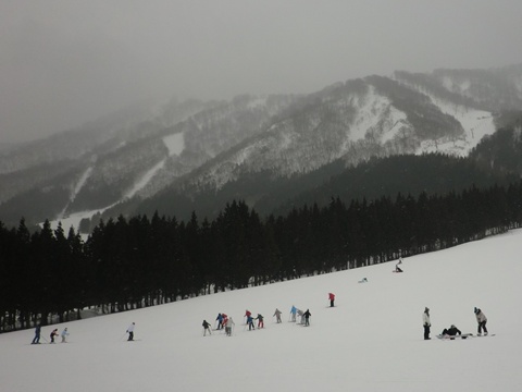 a0138198_10321414.jpg