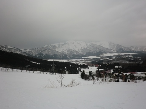 a0138198_9582375.jpg