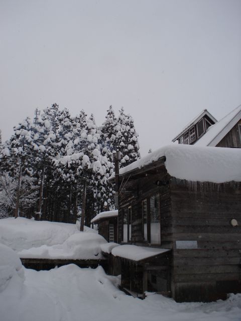 a0061599_7354543.jpg