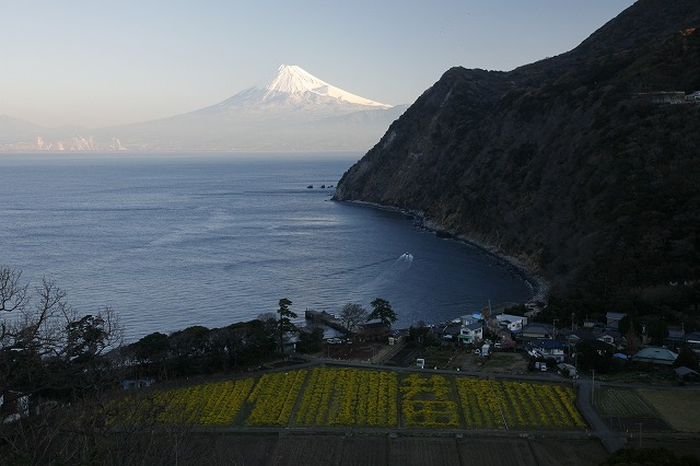 a0188405_8351399.jpg