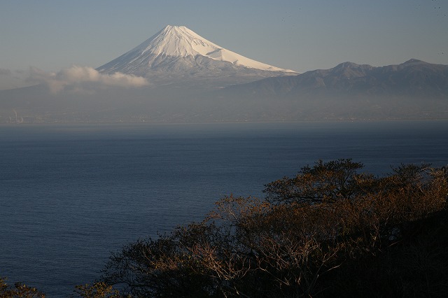a0188405_8424944.jpg