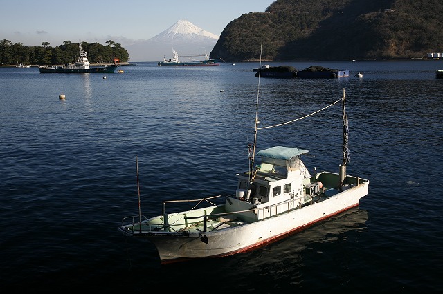 a0188405_8432534.jpg