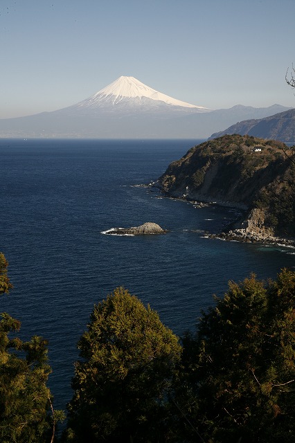 a0188405_8433819.jpg