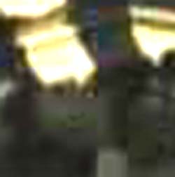 e0103408_13405538.jpg