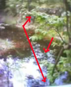 e0103408_1910303.jpg