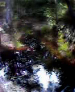 e0103408_19104432.jpg