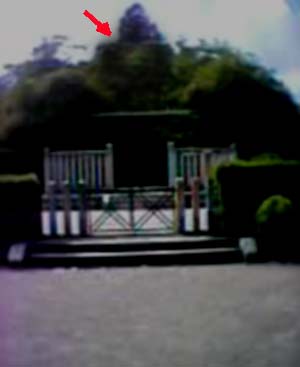 e0103408_1910573.jpg