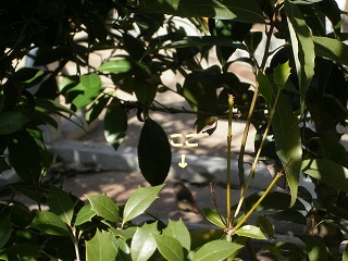 c0190010_21104467.jpg