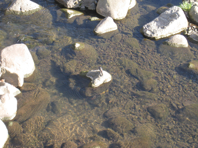 f0033510_22352870.jpg