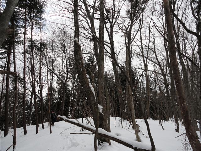 a0127015_18113849.jpg