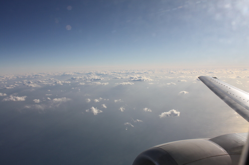 b0093515_7451936.jpg