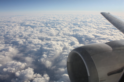 b0093515_748171.jpg