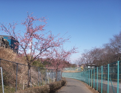 a0053420_14504532.jpg