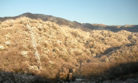 f0213825_2024564.jpg