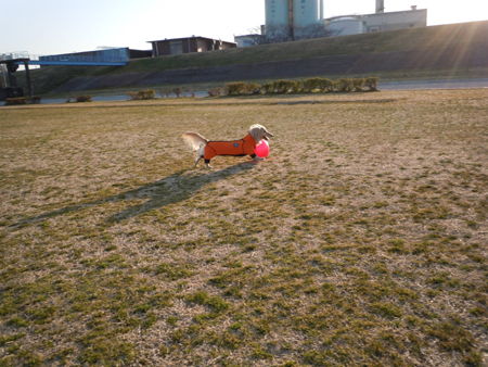 c0117831_22354785.jpg