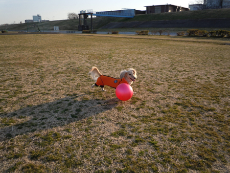 c0117831_2236662.jpg
