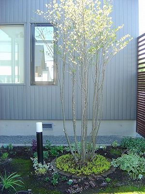 f0205733_23394452.jpg