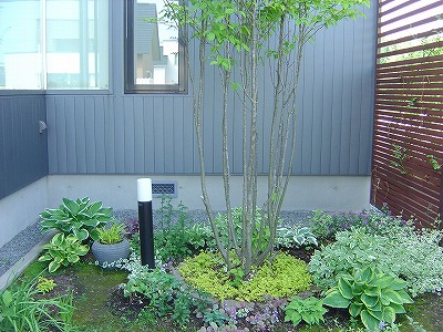 f0205733_23581849.jpg