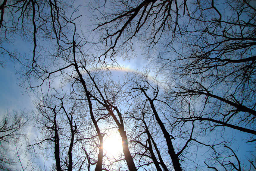 d0069235_23315062.jpg