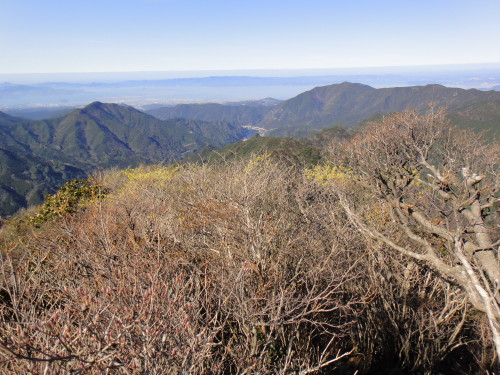 c0179351_21244060.jpg