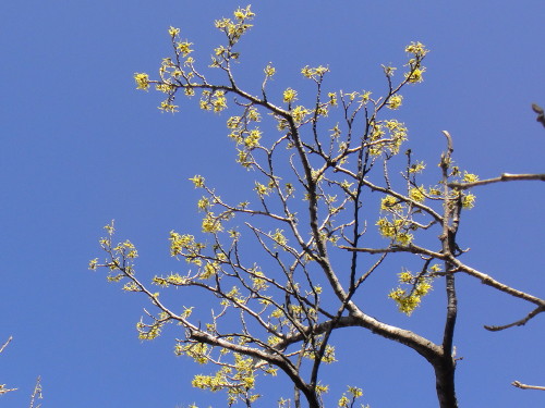 c0179351_212595.jpg