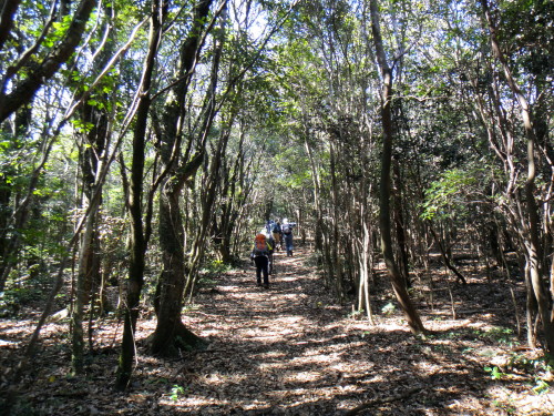 c0179351_21284888.jpg