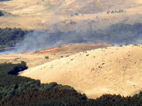 c0179351_21343822.jpg