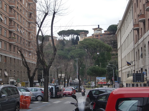 c0206352_1881928.jpg