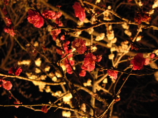 a0021558_2357797.jpg