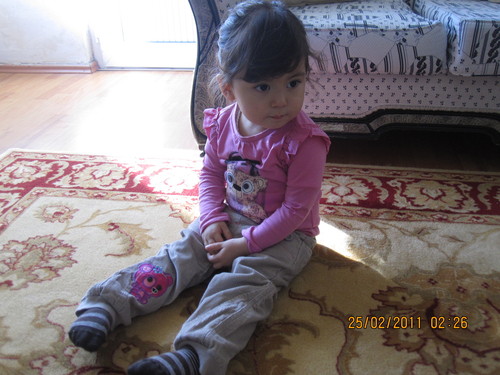 d0182063_022420.jpg