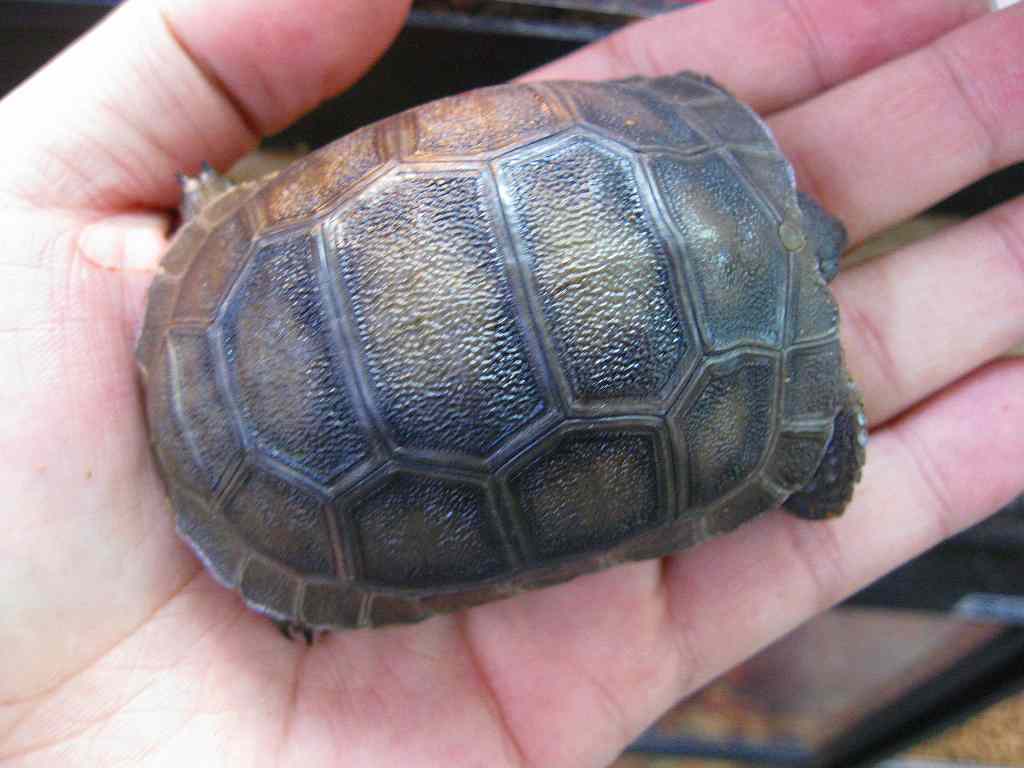 e0099576_18172046.jpg