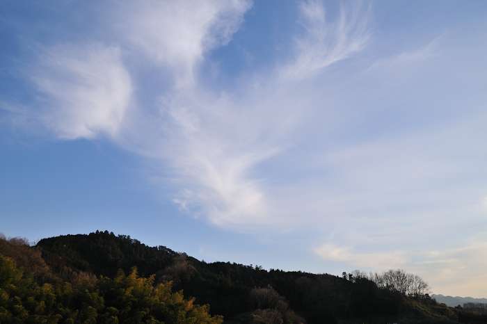 e0092186_23522014.jpg