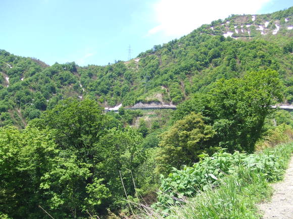 a0186689_213645100.jpg