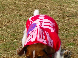 e0121589_2271647.jpg