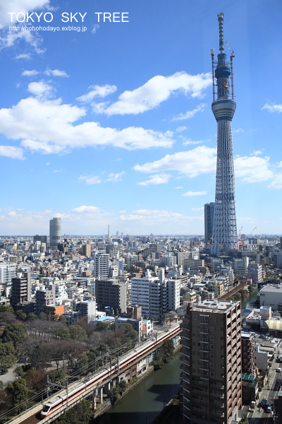 d0158191_71829.jpg