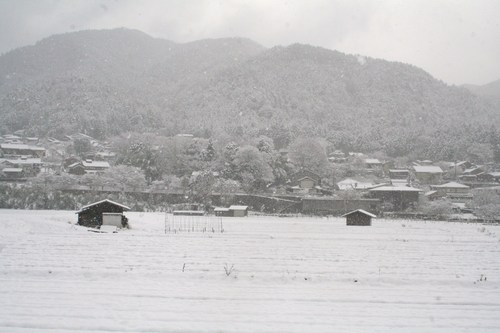 c0100195_094699.jpg
