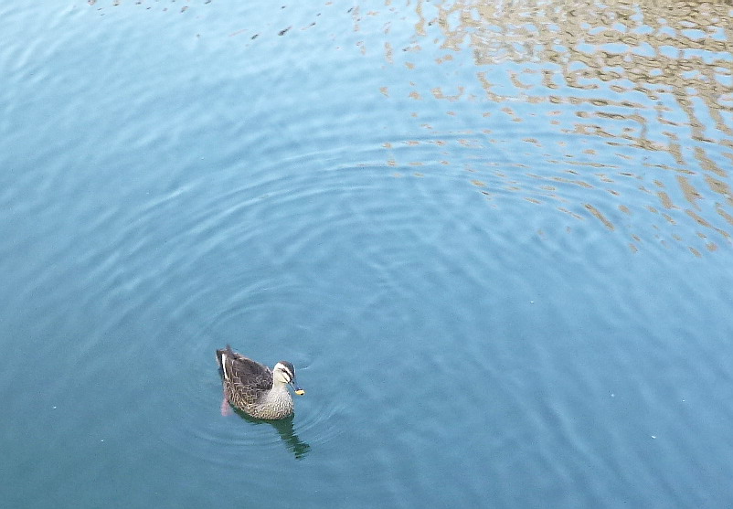 c0138198_10225415.jpg