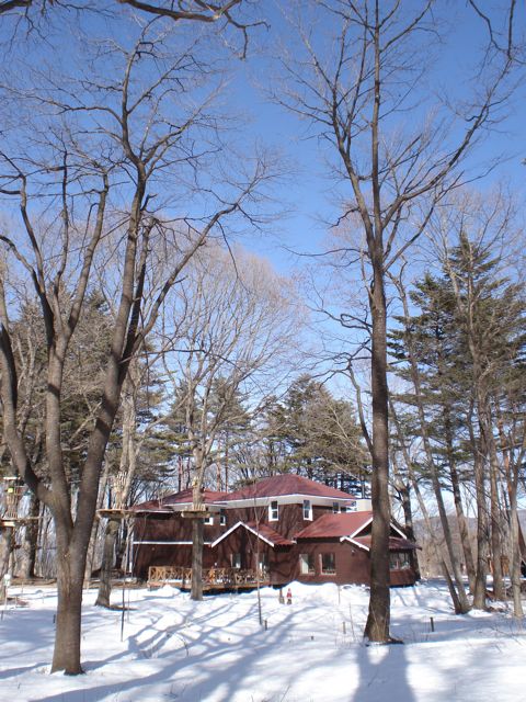 a0061599_21175116.jpg