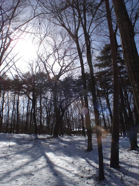 a0061599_21195543.jpg