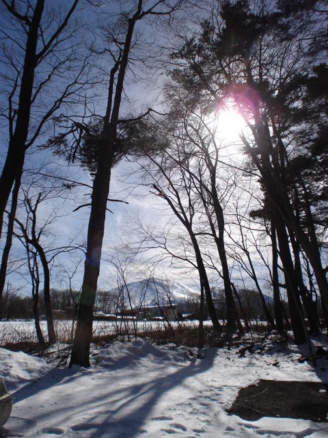 a0061599_21202751.jpg