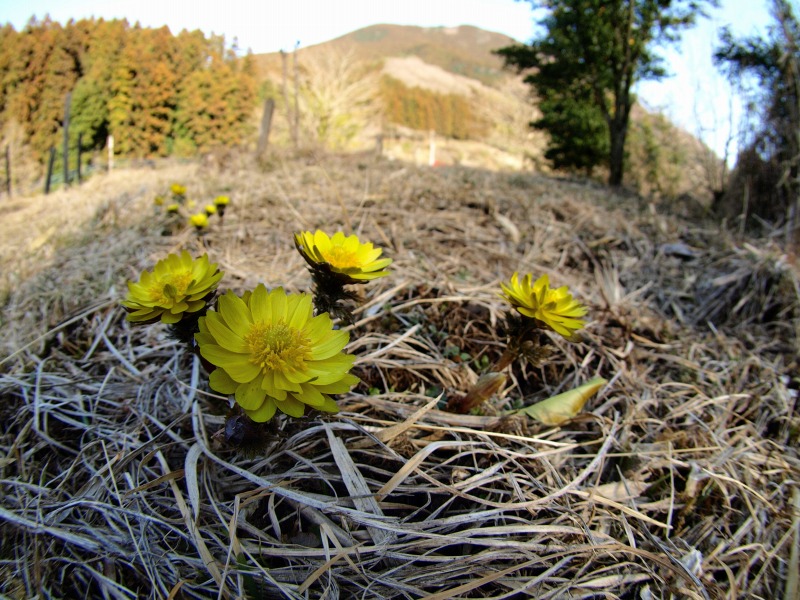 f0224100_23315537.jpg