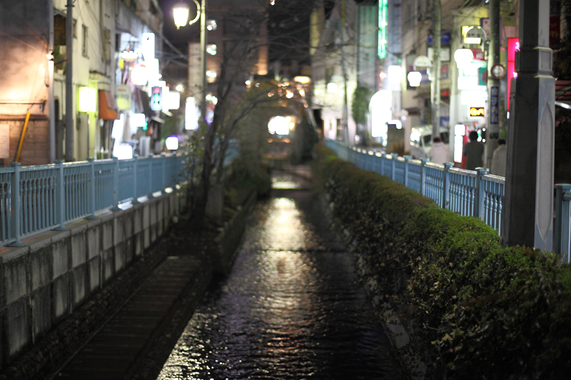 a0189203_014285.jpg