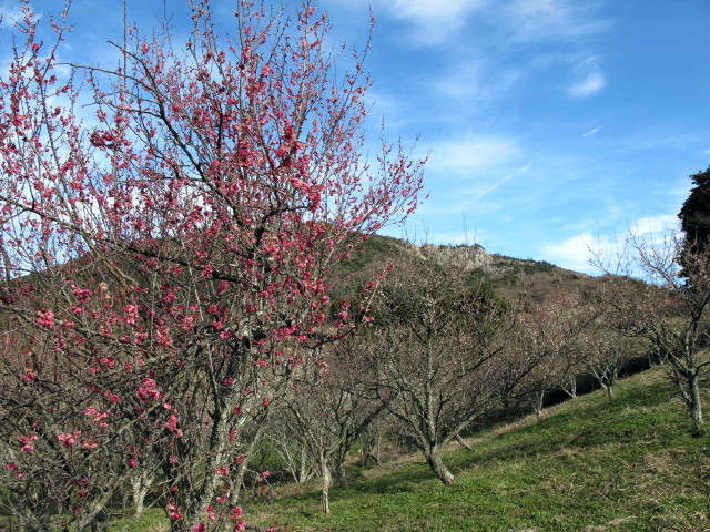 c0036203_15312284.jpg