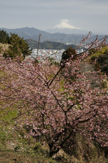 a0188405_16104218.jpg
