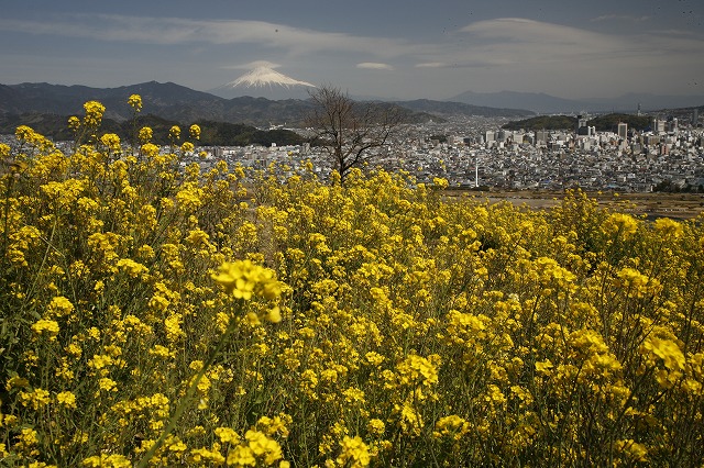 a0188405_16154128.jpg