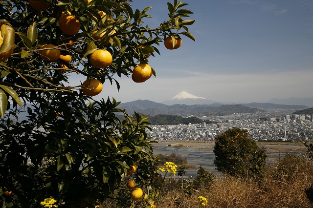 a0188405_1615770.jpg