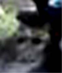e0103408_145748.jpg