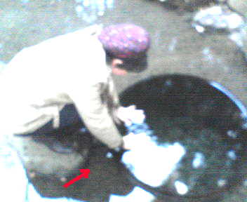 e0103408_1525861.jpg