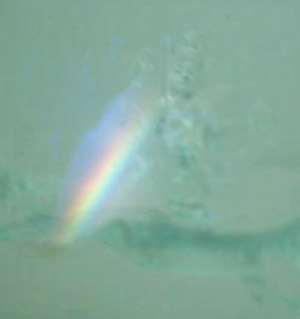 e0103408_17184134.jpg